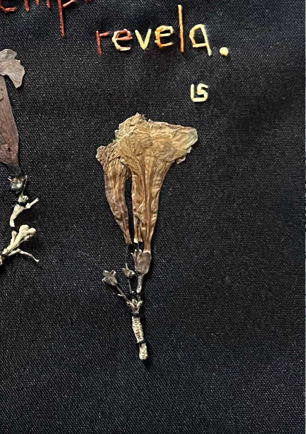 ogesto2